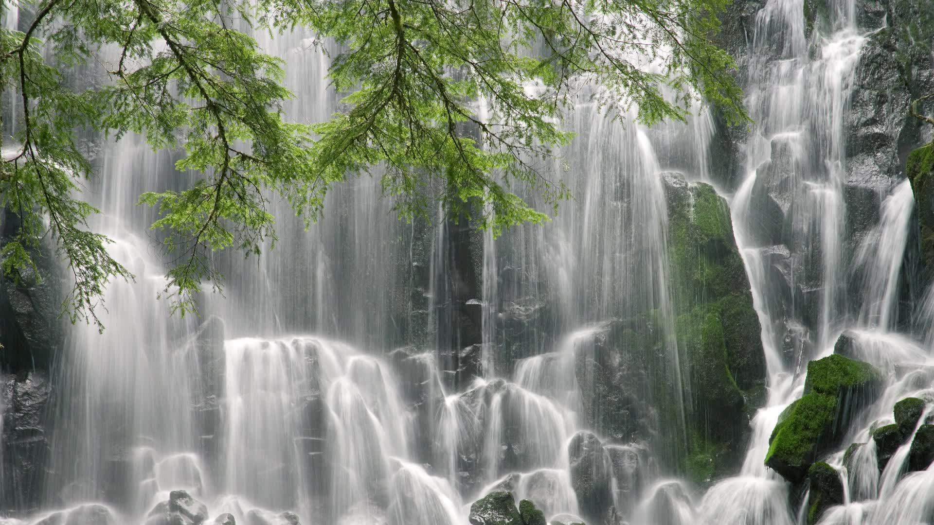 世界篮球俱乐部国际交流赛赛程出炉,世界篮球联赛